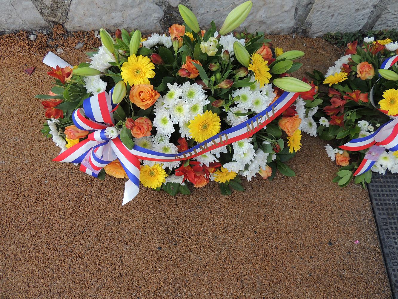 2019 08 28 TOULON HOMMAGE A RAOUL SALAN (9).JPG -           